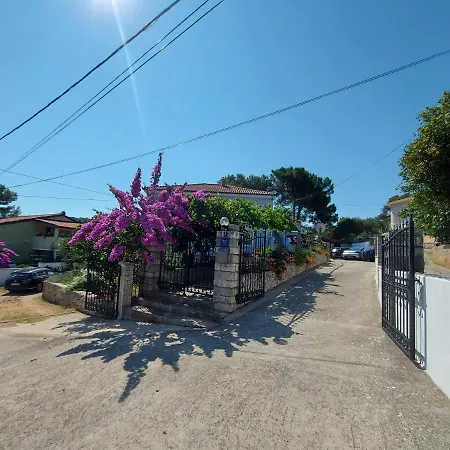 招待所 Kuca Luce 3*