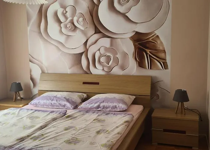 Kuca Luce Pensiune 3*